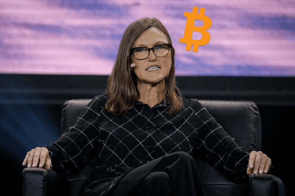 Cathie Wood: Die Genehmigung des BTC-ETF wird mehr Institutionen dazu ermutigen, sehr kurzfristig in Bitcoin zu investieren.